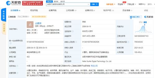 訊飛數(shù)碼注冊(cè)資本激增115.38%，軟硬件布局再提速